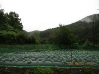 더블옥션 더블옥션 부동산경매정보