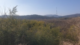 더블옥션 더블옥션 부동산경매정보