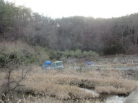 더블옥션 더블옥션 부동산경매정보