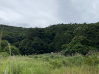 더블옥션 더블옥션 부동산경매정보