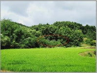 더블옥션 더블옥션 부동산경매정보