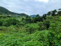 더블옥션 더블옥션 부동산경매정보