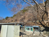 더블옥션 더블옥션 부동산경매정보