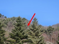 더블옥션 더블옥션 부동산경매정보