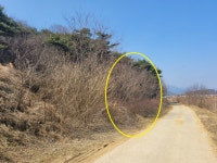 더블옥션 더블옥션 부동산경매정보