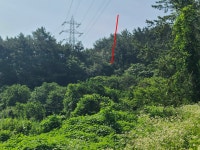 더블옥션 더블옥션 부동산경매정보