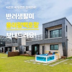 서울 사는데요.. 이번 여름 휴가 어쩔 - 반려동물 마이너 갤러리