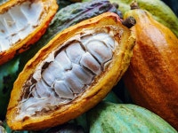 Perfume Journeys to Nepal and Jamaica with the New La Closerie des Parfums Collection ~ Fragrance Reviews Perfume Journeys to... 