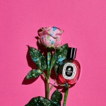 Diptyque Raw Materials In Colors: Feel The Scents Through The Colors! ~ Niche Perfumery Diptyque Raw Materials In Colors: Feel... 