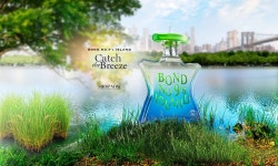 Bond No.9s Island ~ Niche Perfumery Bond No.9s Island ~ Niche Perfumery ~ Fragrantica