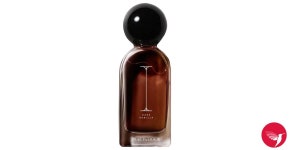 Dark Vanilla Secrets Door perfume - a new fragrance for women and men 2025