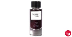 Santini Oud AMD Perfumes perfume - a fragrance for women and men 2019