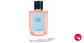 Tainted Love Prada perfume - a fragrance for women and men 2015