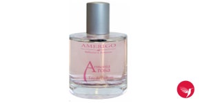 Armonia Rosa Amerigo perfume - a fragrance for women 2020