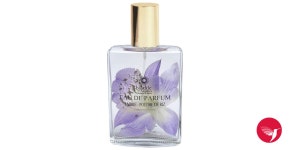 Ambre - Poudre de Riz La Bastide des Aromes perfume - a fragrance for women