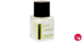 Sweet Celestials Strangers Parfumerie perfume - a new fragrance for women and men 2023