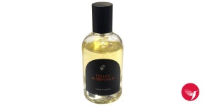 Fellini in Nishapur ThenThere perfume - a new fragrance for women and men 2024