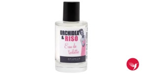 Orchidea & Riso Apiarium perfume - a fragrance for women
