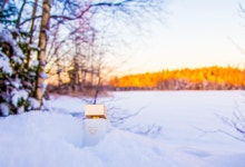 Lempi ~ The four seasons of White Tea Eau de Parfum, part 1: winter. 🤍🌬️ Dear Ca... (150011)