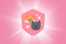 펫보험 필요할까? 펫보험 추천 및 비교 총정리 | 뱅크샐러드