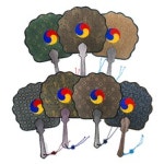 공인중개사자격증재교부신청 샘플(양식.서식) 검색자료