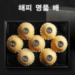 배미 양식 서식.샘플 문서자료