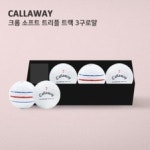 안내공 양식 서식.샘플 문서자료
