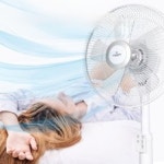 주 마인드브이알 대표자:이대엽 要約信用分析報告書 JR1 일문 샘플(양식.서식) 검색자료 주 마인드브이알 대표자:이대엽  要約信用分析報告書... 