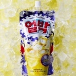 제약 연구개발 샘플(양식.서식) 검색자료