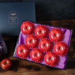 대구경북지사 양식 서식.샘플 문서자료