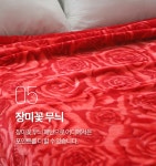 담요·블랭킷 > 150x200 빨간장미 양면 밍크 담요 캠핑 침실 침대 패드 차박 담요 | 오늘의집 쇼핑 150x200 빨간장미 양면 밍크 담요 캠핑 침실... 