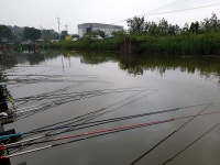 연곡낚시터 유료낚시터 > 궁금해요? 전기 정상! : 낚시사랑