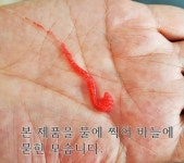 공충흔들이뽕 /본미흔들이뽕 각8,000원 : 낚시사랑