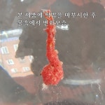 공충흔들이뽕 /본미흔들이뽕 각8,000원 : 낚시사랑