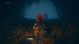 혈귀의 팔 획득처 - 프롬 소프트웨어 마이너 갤러리