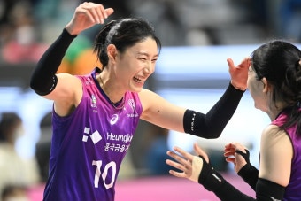 쫓아오는 양효진, 도망가는 김연경…오늘은 어떨까 : 배구 : 스포츠 : 뉴스 : 한겨레 쫓아오는 양효진, 도망가는 김연경…오늘은 어떨까