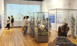 “부채붓꽃·무환자 보신 적 있나요?” 산림박물관 생태 특별전 : 충청 : 전국 : 뉴스 : 한겨레 “부채붓꽃·무환자 보신 적 있나요?” 산림박물관... 