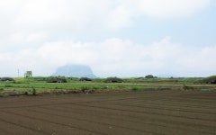 알뜨르비행장 ‘평화대공원’ 조성 탄력…관련 법 개정안 국회 통과... 한겨레 알뜨르비행장 ‘평화대공원’ 조성 탄력…관련 법 개정안 국회 통과