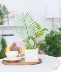 [FlowerTree플라워트리]아레카 식물 여름 인테리어 화분 set 42cm 조화 테이블 장식 소품 꾸 [W CONCEPT]