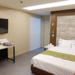 전세 맹고불 유물 | 아산시 문화관광 아산시 문화관광