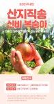 [초신선] 경북 경산 신비복숭아 로얄과 2kg (18~22개입) - 푸드장 [초신선] 경북 경산 신비복숭아 로얄과 2kg (18~22개입)