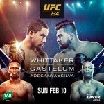 UFC 234 휘태커 vs 가스텔럼 (feat 강경호, 마동현!!) - 풋셀 커뮤니티