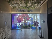 이것이 PC방인가, 원신의 세계인가… : 게임샷