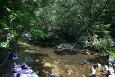 서울한컷 < 행정 | 서울특별시 서울한컷