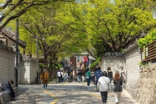 서울한컷 < 행정 | 서울특별시 서울한컷