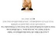 펫 헤어 롤러 -  [New Lifestyle Store, FUNSHOP]  펫 헤어 롤러 [펀샵]
