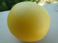Photo of the fruit of Tomato (Solanum lycopersicum 'Wapsipinicon Peach') posted by Green_Go - Garden.org Photo of the fruit of...