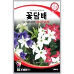 나만의 텃밭에서 채소와 허브키우기! 야미가든과 함께해요~ ^^ 꽃담배 꽃씨앗 1000립 4~6월파종 1년생 (세계종묘) - 야미가든
