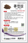 나만의 텃밭에서 채소와 허브키우기! 야미가든과 함께해요~ ^^ 큐민 100립 허브씨앗 봄파종 1년생 (세계종묘) - 야미가든
