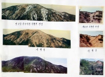 총화유신 푸른산 만들기(1974년)상세 | 행정박물>컨텐츠>디지털 아카이브>경상북도 경북도청, 경상북도, 경북, 도청, Gyeongsangbuk-do